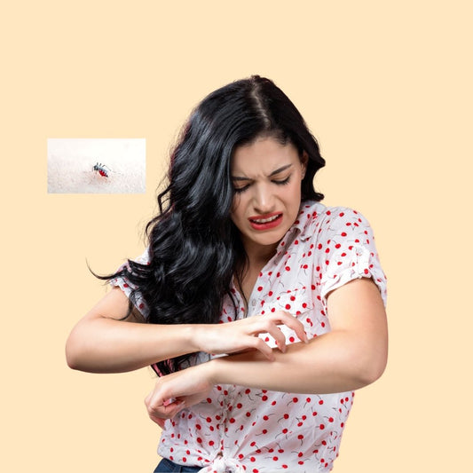 Essential Oils and their components as a Mosquito Repellant Alternative