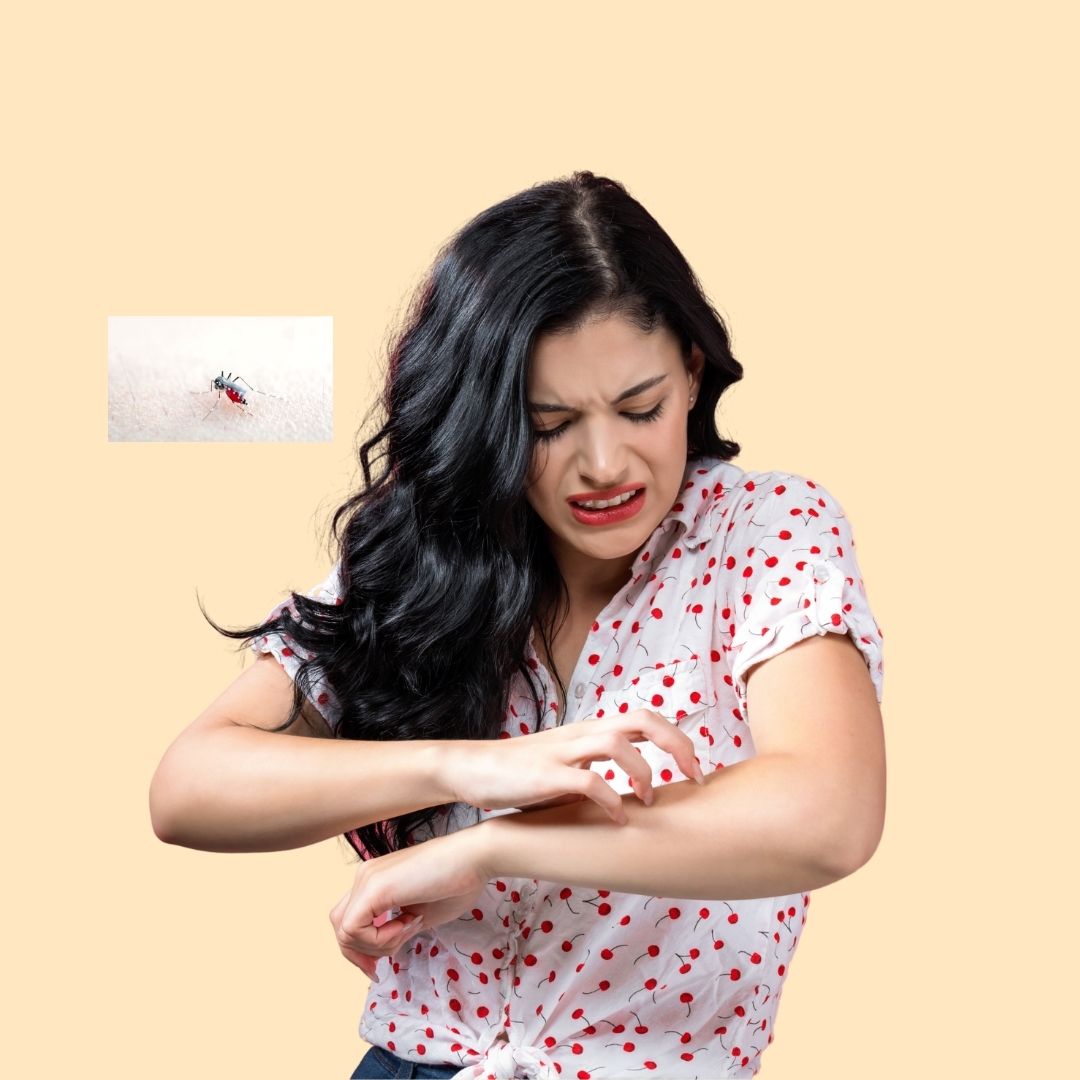 Essential Oils and their components as a Mosquito Repellant Alternative