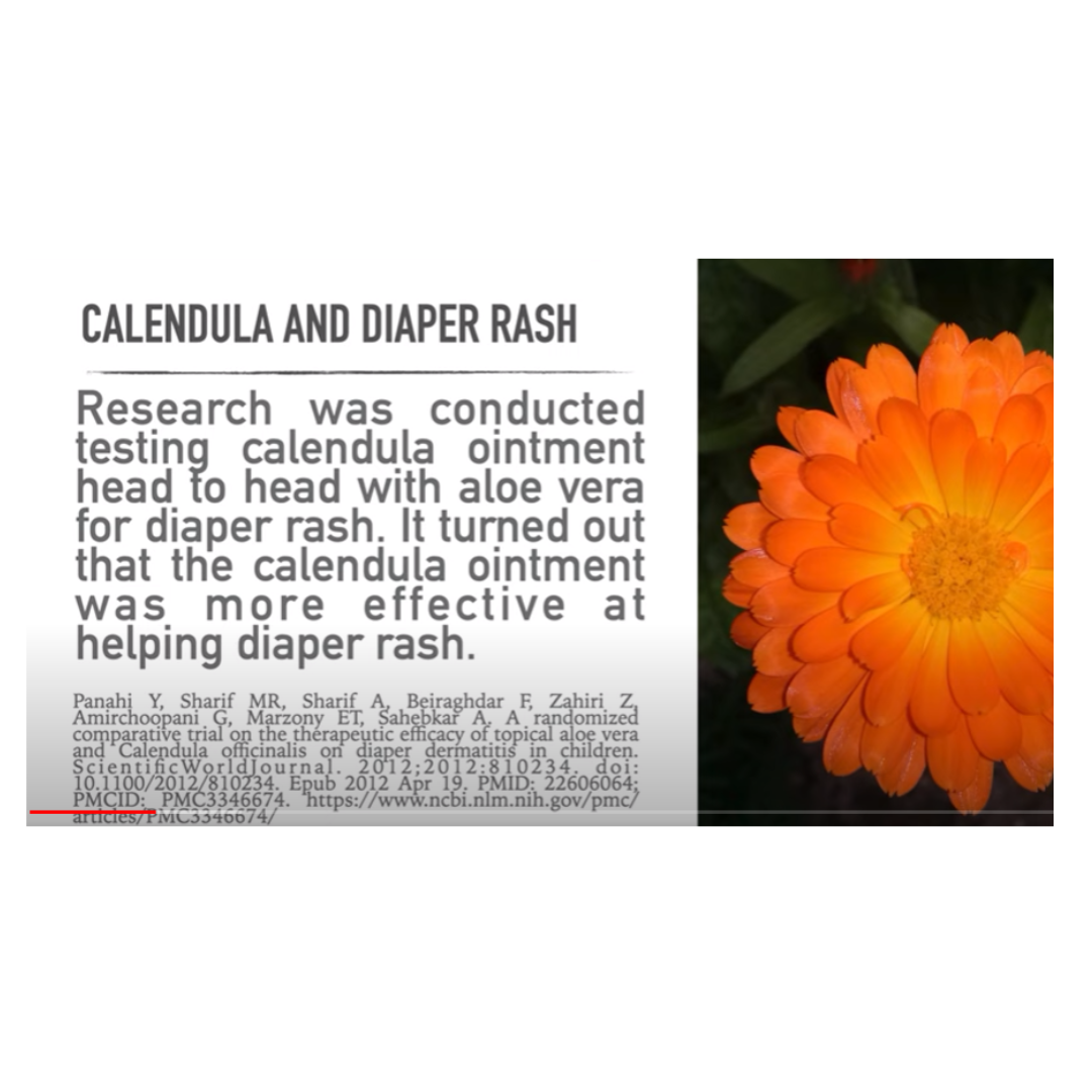 Bundle Caléndula 1 Jabón 5oz. + 1 Ungüento Caléndula 4 oz